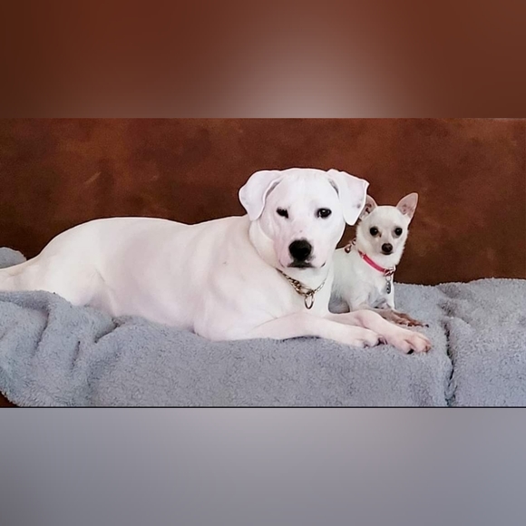 Meet your Posher, Charity - Picture 5 of 11